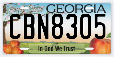 GA license plate CBN8305