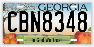 GA license plate CBN8348