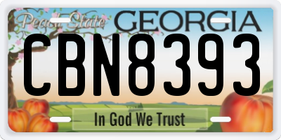 GA license plate CBN8393