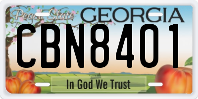 GA license plate CBN8401