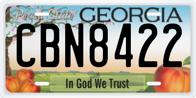 GA license plate CBN8422