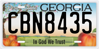 GA license plate CBN8435