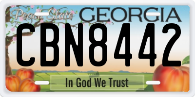 GA license plate CBN8442