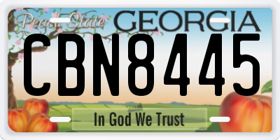 GA license plate CBN8445