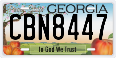 GA license plate CBN8447