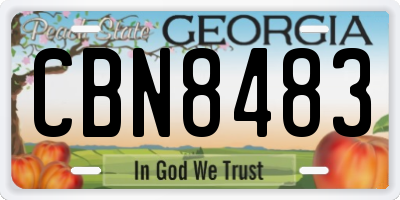 GA license plate CBN8483