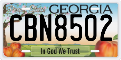 GA license plate CBN8502