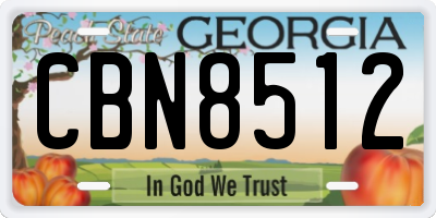 GA license plate CBN8512