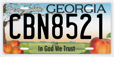 GA license plate CBN8521