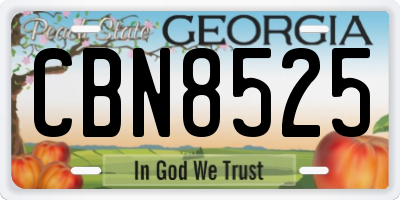 GA license plate CBN8525