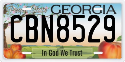 GA license plate CBN8529
