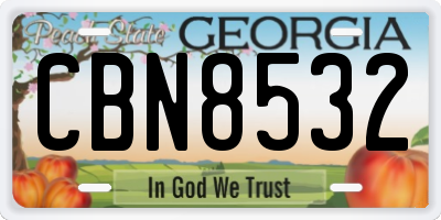 GA license plate CBN8532