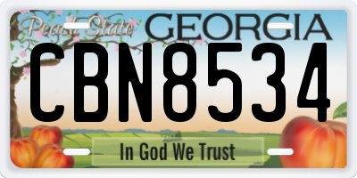 GA license plate CBN8534