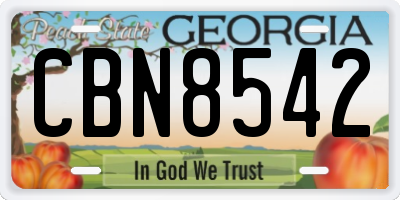 GA license plate CBN8542