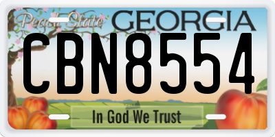 GA license plate CBN8554