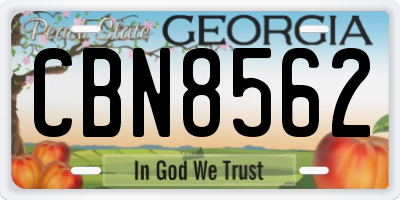GA license plate CBN8562