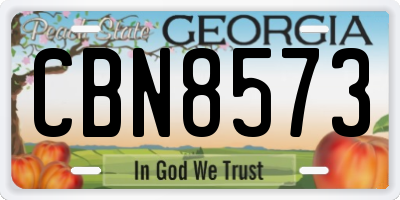 GA license plate CBN8573