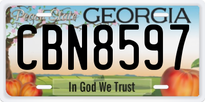 GA license plate CBN8597