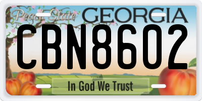 GA license plate CBN8602