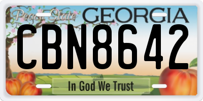 GA license plate CBN8642
