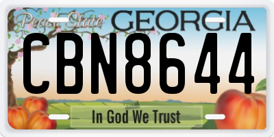 GA license plate CBN8644