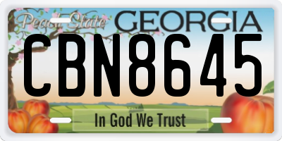 GA license plate CBN8645