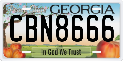 GA license plate CBN8666