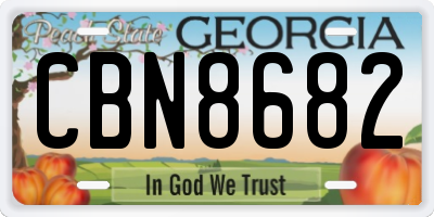 GA license plate CBN8682