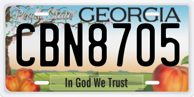 GA license plate CBN8705