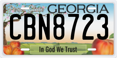 GA license plate CBN8723
