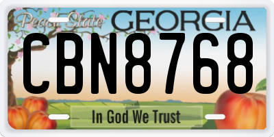 GA license plate CBN8768