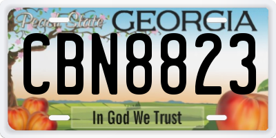GA license plate CBN8823