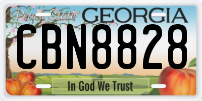 GA license plate CBN8828