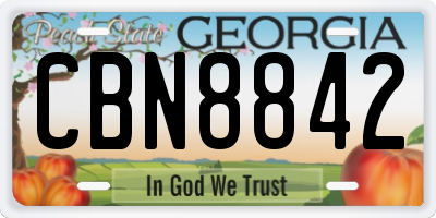 GA license plate CBN8842