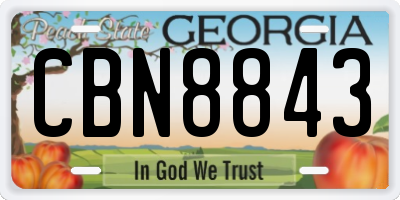 GA license plate CBN8843