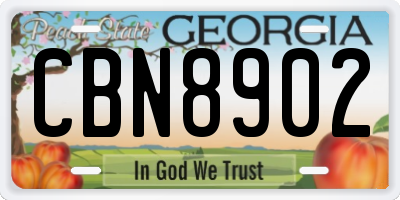GA license plate CBN8902