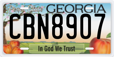 GA license plate CBN8907