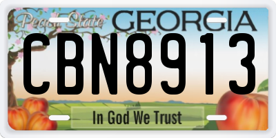 GA license plate CBN8913