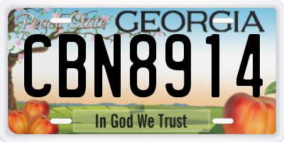 GA license plate CBN8914