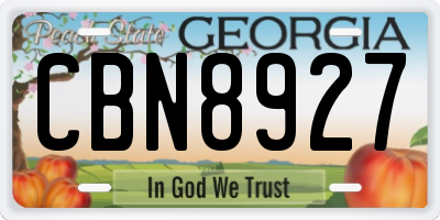 GA license plate CBN8927