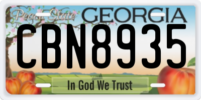 GA license plate CBN8935