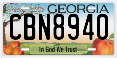 GA license plate CBN8940