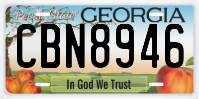 GA license plate CBN8946