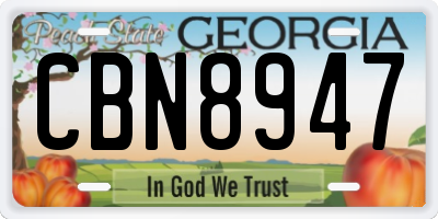 GA license plate CBN8947