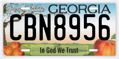 GA license plate CBN8956