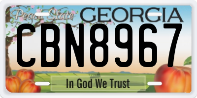 GA license plate CBN8967