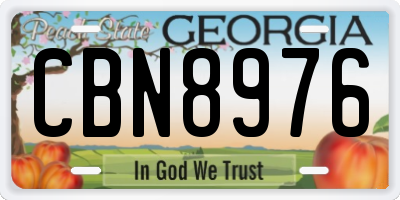 GA license plate CBN8976