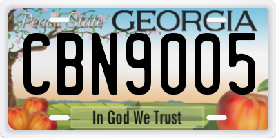 GA license plate CBN9005