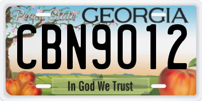 GA license plate CBN9012