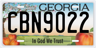 GA license plate CBN9022